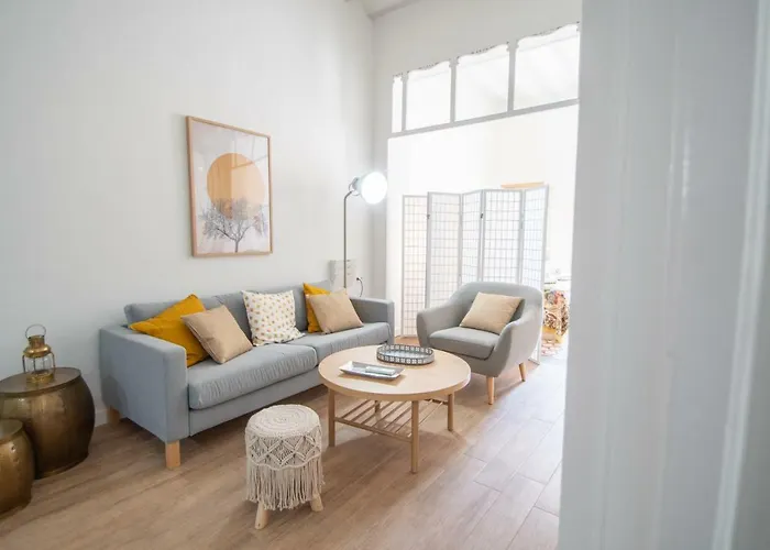 Musas De Appartement *